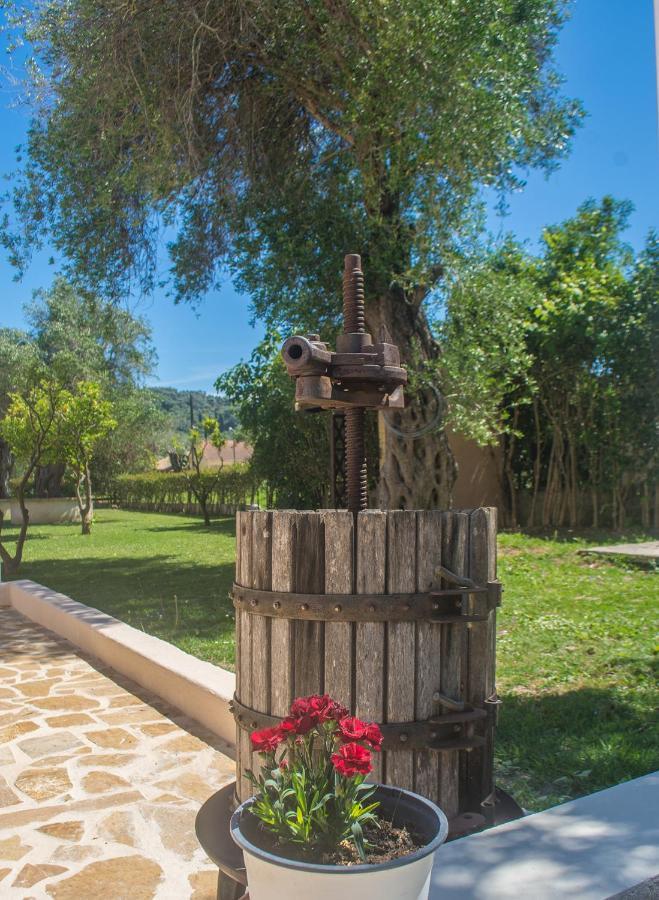 Corfu Palmar Hotel Сидарион Экстерьер фото